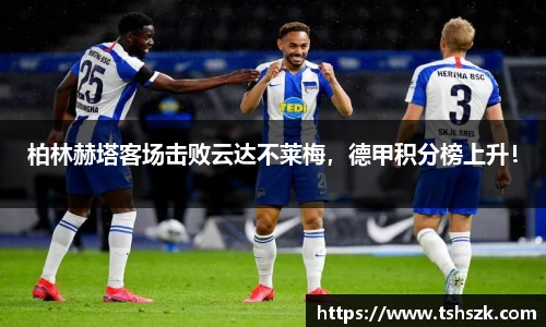 雷火电竞官网