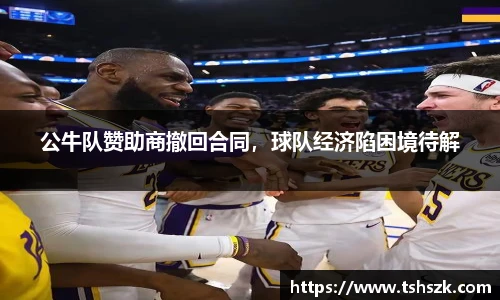 公牛队赞助商撤回合同，球队经济陷困境待解