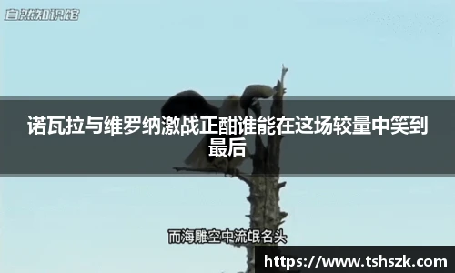 诺瓦拉与维罗纳激战正酣谁能在这场较量中笑到最后