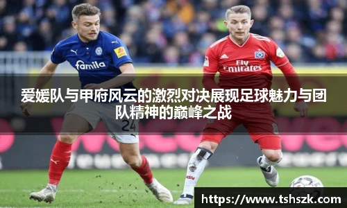 雷火电竞app